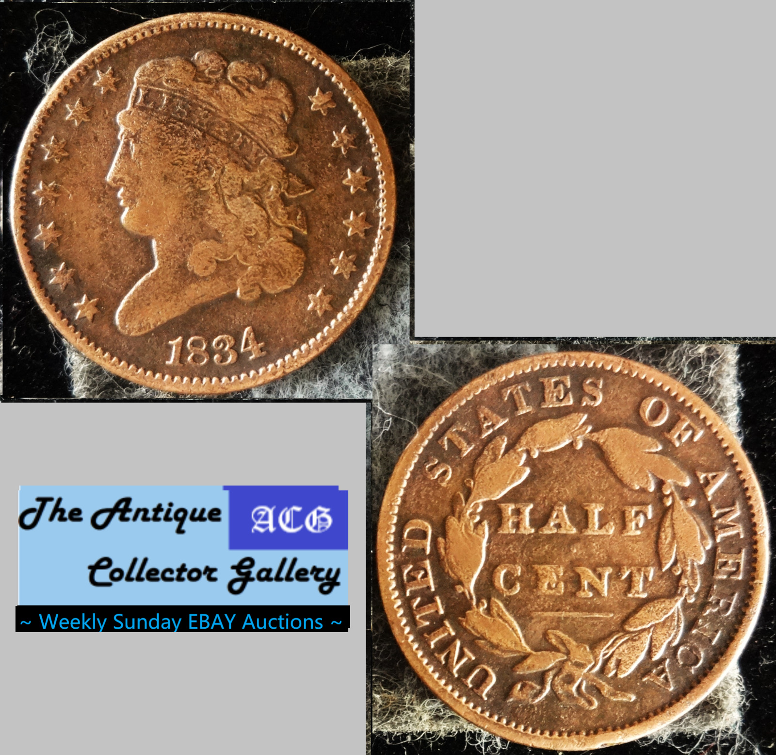 US 1834 CLASSIC HEAD HALF CENT🪙 Early Copper Half Penny🪙